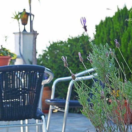 Alecrim Rosmaninho Guest House Pinhel Εξωτερικό φωτογραφία